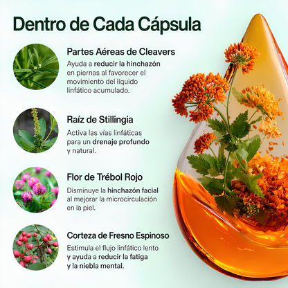 Lymphatic Drainage Capsules™ - Reduce la hinchazón diaria