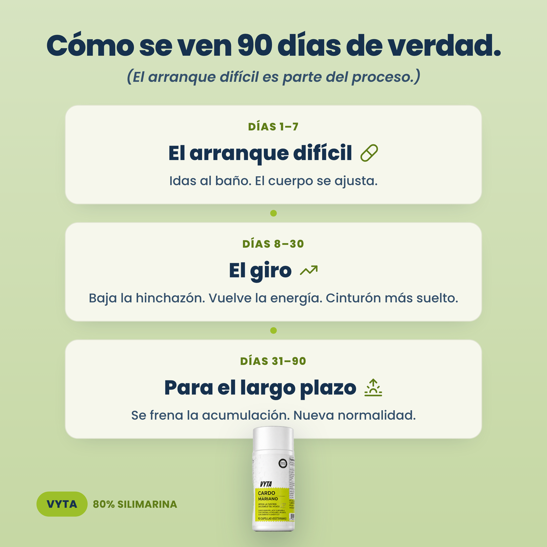 Cómo se ven 90 días de verdad — roadmap por días
