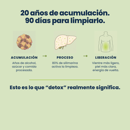 20 años de acumulación, 90 días para limpiarlo — qué significa detox