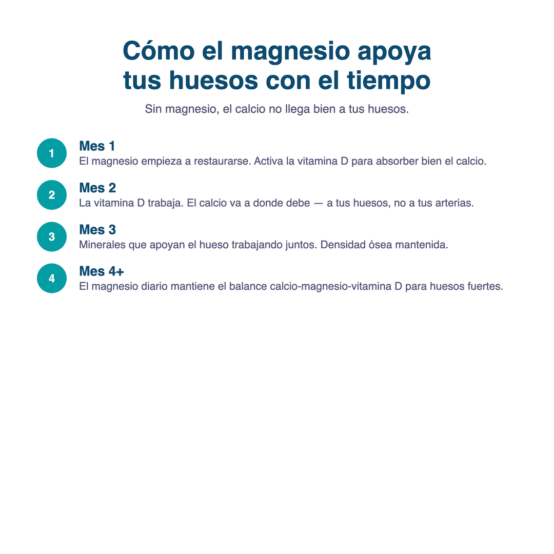 VYTA Mag g06_huesos