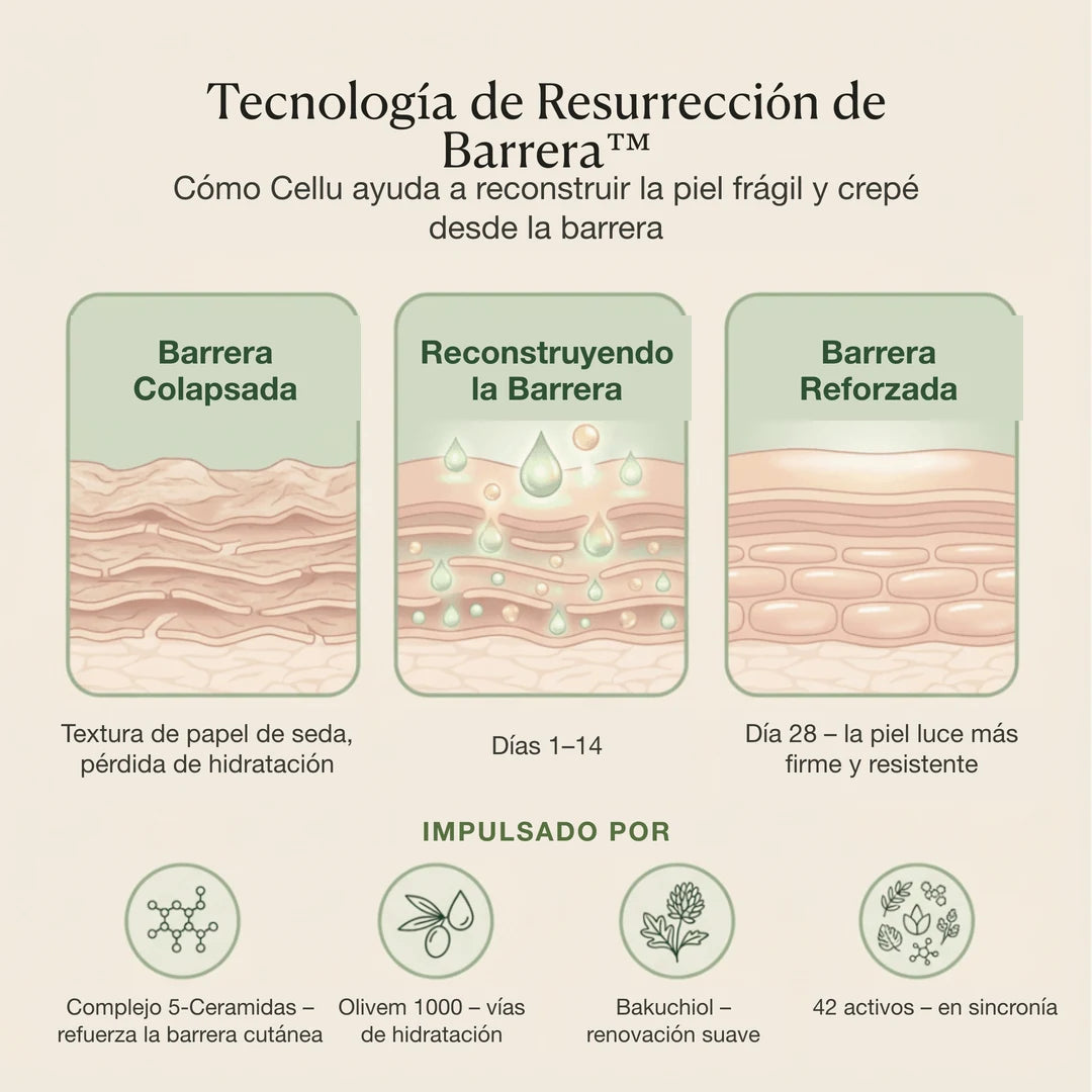 Crema Reafirmante Corporal 9
